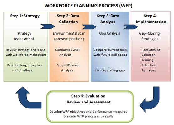 Workforce planning process: What you need to know?