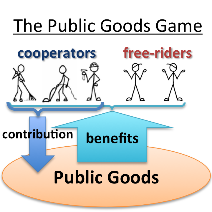 Public goods - short answer