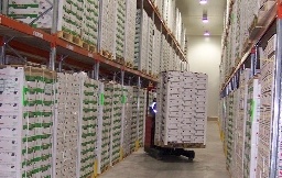 fresh_produce_8
